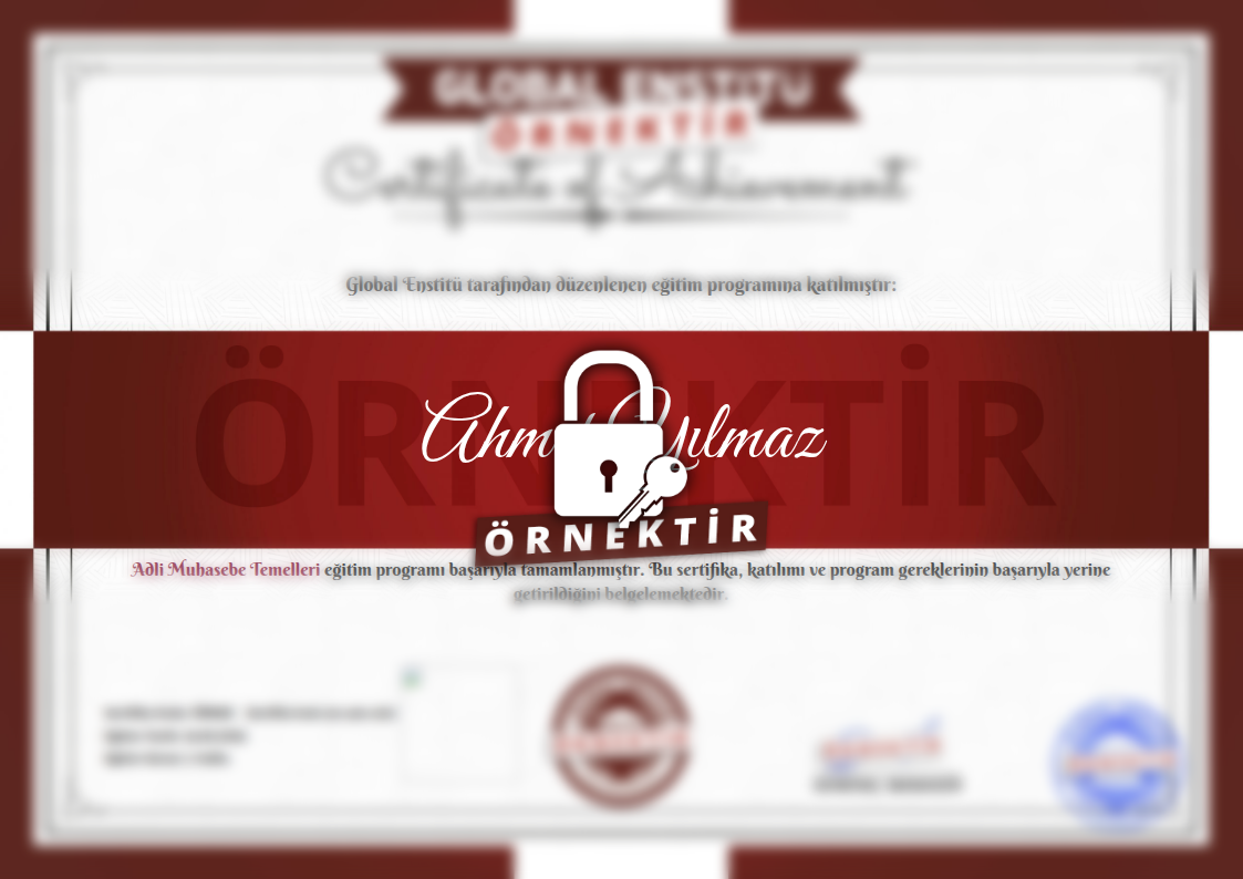 Örnek Adli Muhasebe Temelleri Sertifikası