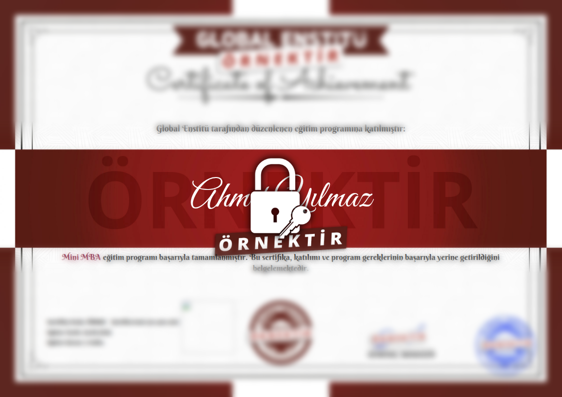 Örnek Mini MBA Sertifikası