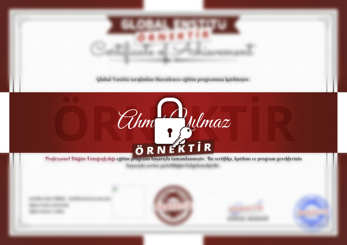 Örnek Profesyonel Düğün Fotoğrafçılığı Sertifikası