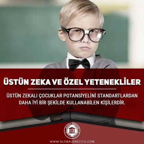 Üstün Zeka ve Özel Yetenekliler