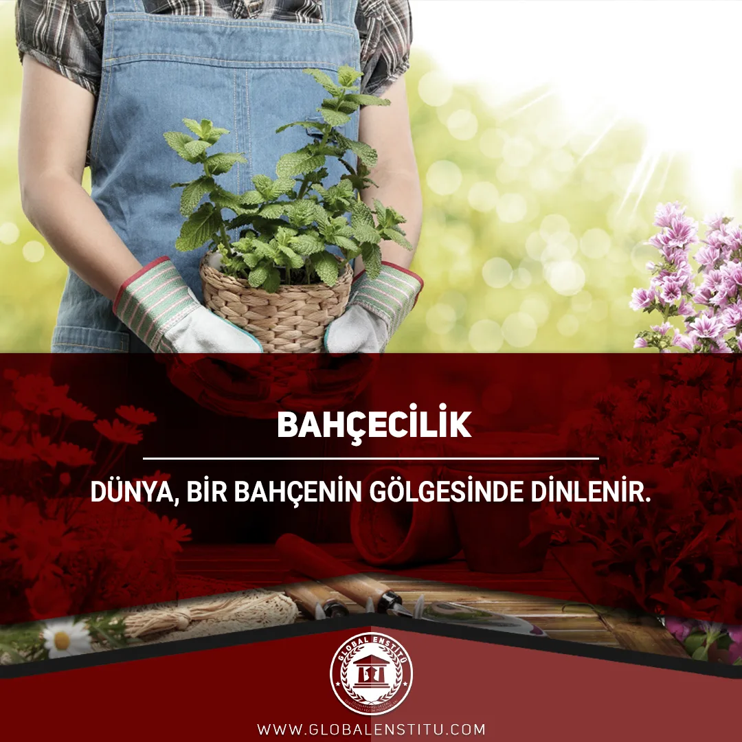 Bahçecilik