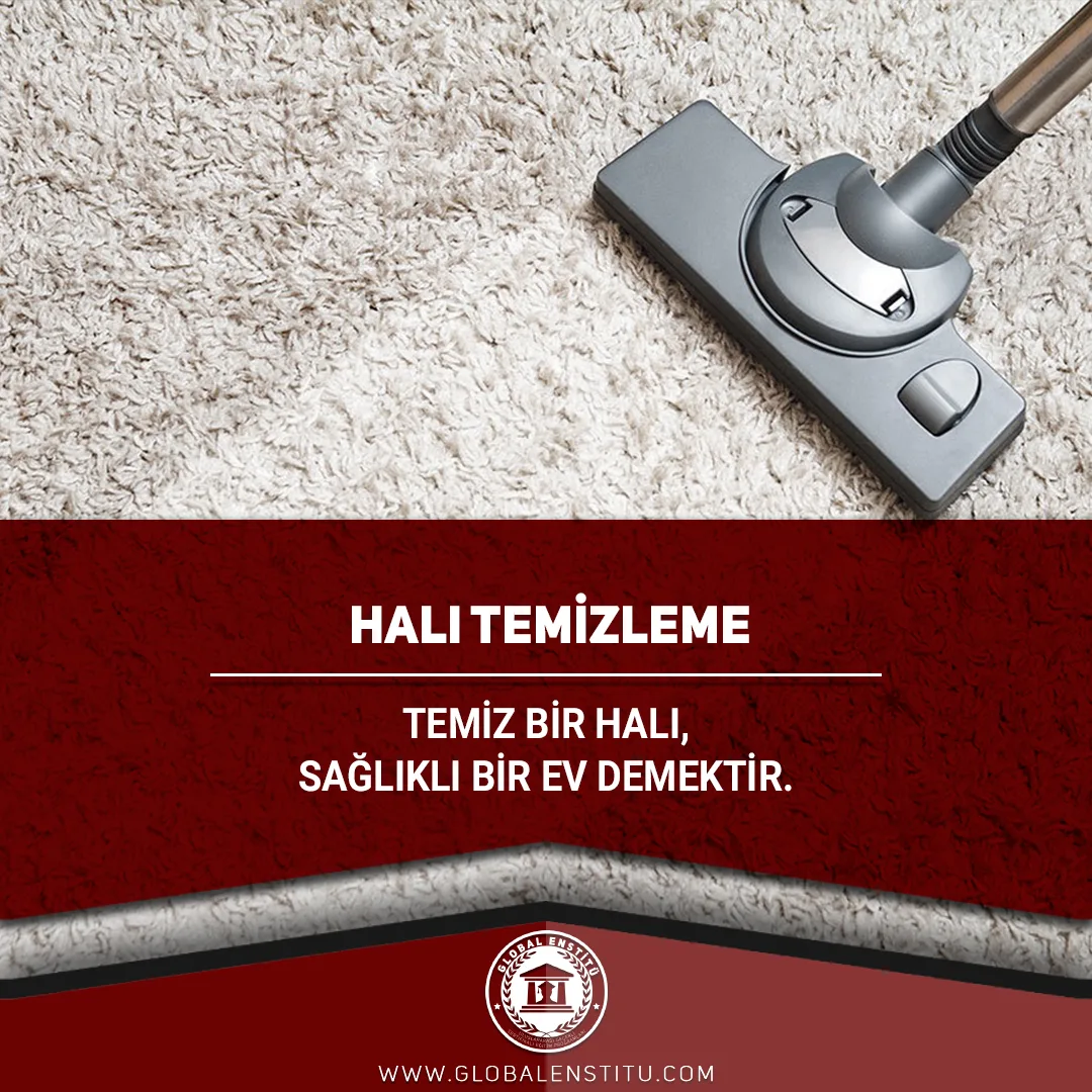Halı Temizleme